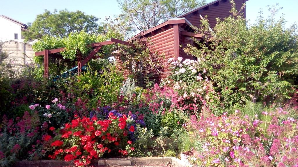 Villa Hahar Aatzil Hazon Exterior foto